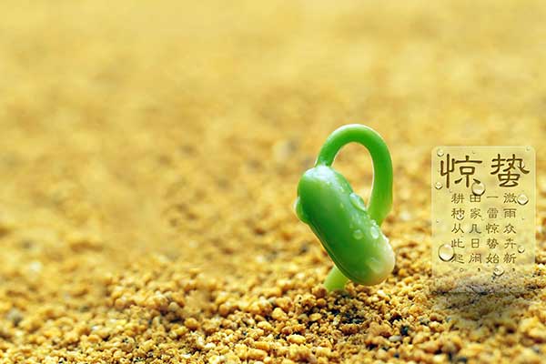 山東巨邦機械有限公司 | 驚蟄：桃花始開，自此